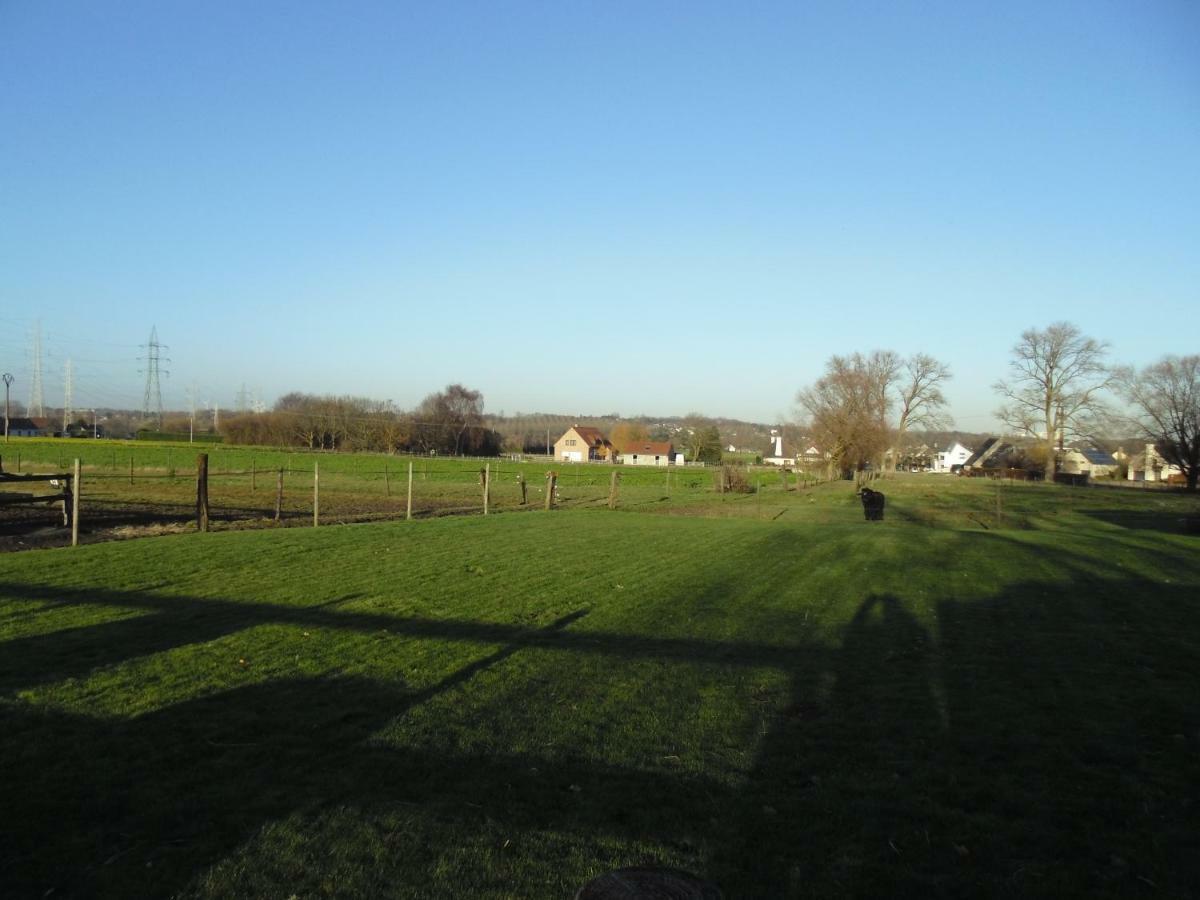 B&B Bodegem Dilbeek Exteriér fotografie